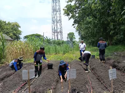 UKK Agribisnis Tanaman Perkebunan
